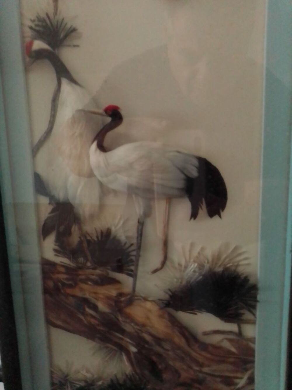 Tableaux Décoration
