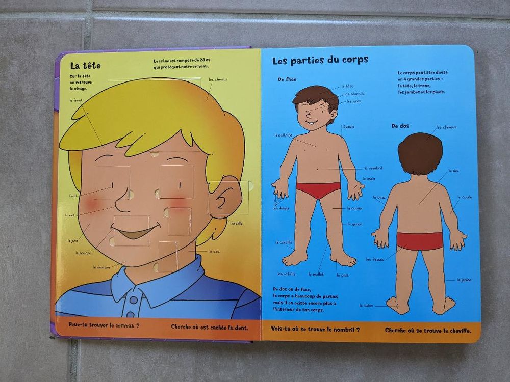 Livre pour enfants le corps humain - Les grandes cachettes Livres et BD
