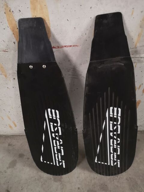 Chasse sous-marine 20 Hyres (83)
