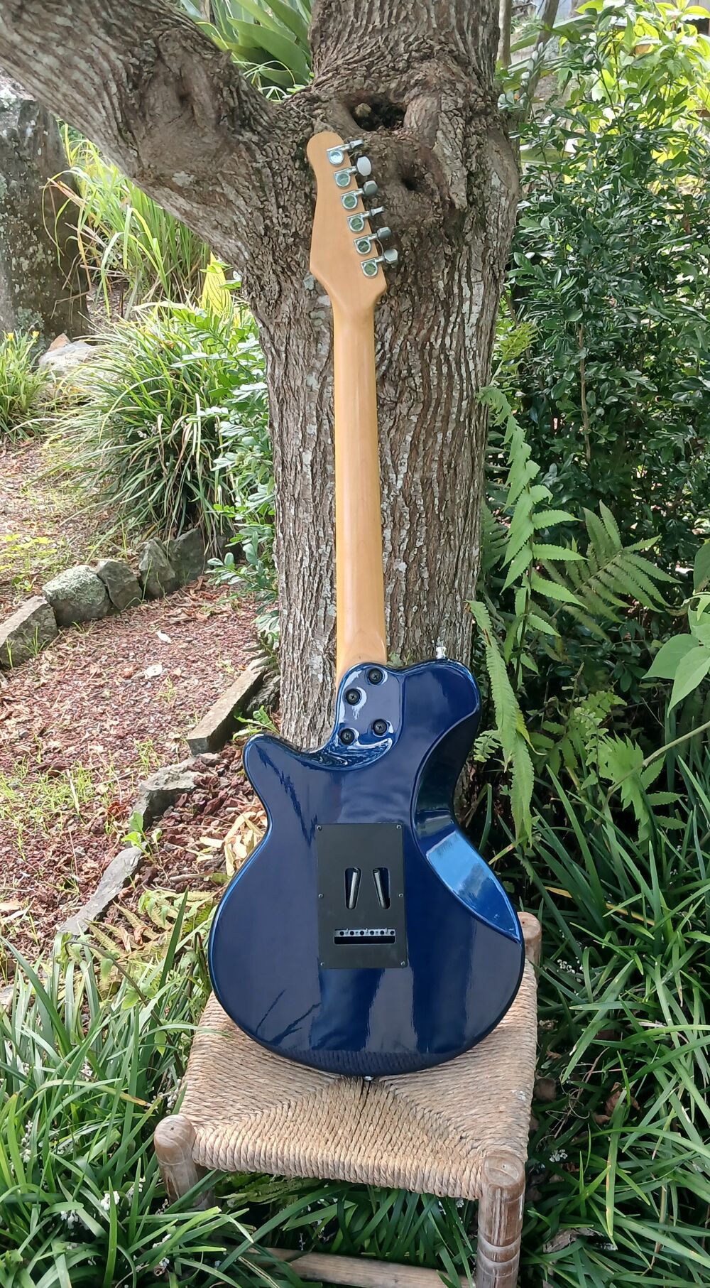 GUITARE ELECTRIQUE GODIN MODELE SD PARFAIT ETAT Instruments de musique