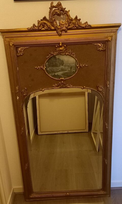 TRUMEAU ANCIEN - PRIX CASSE 150 Dijon (21)