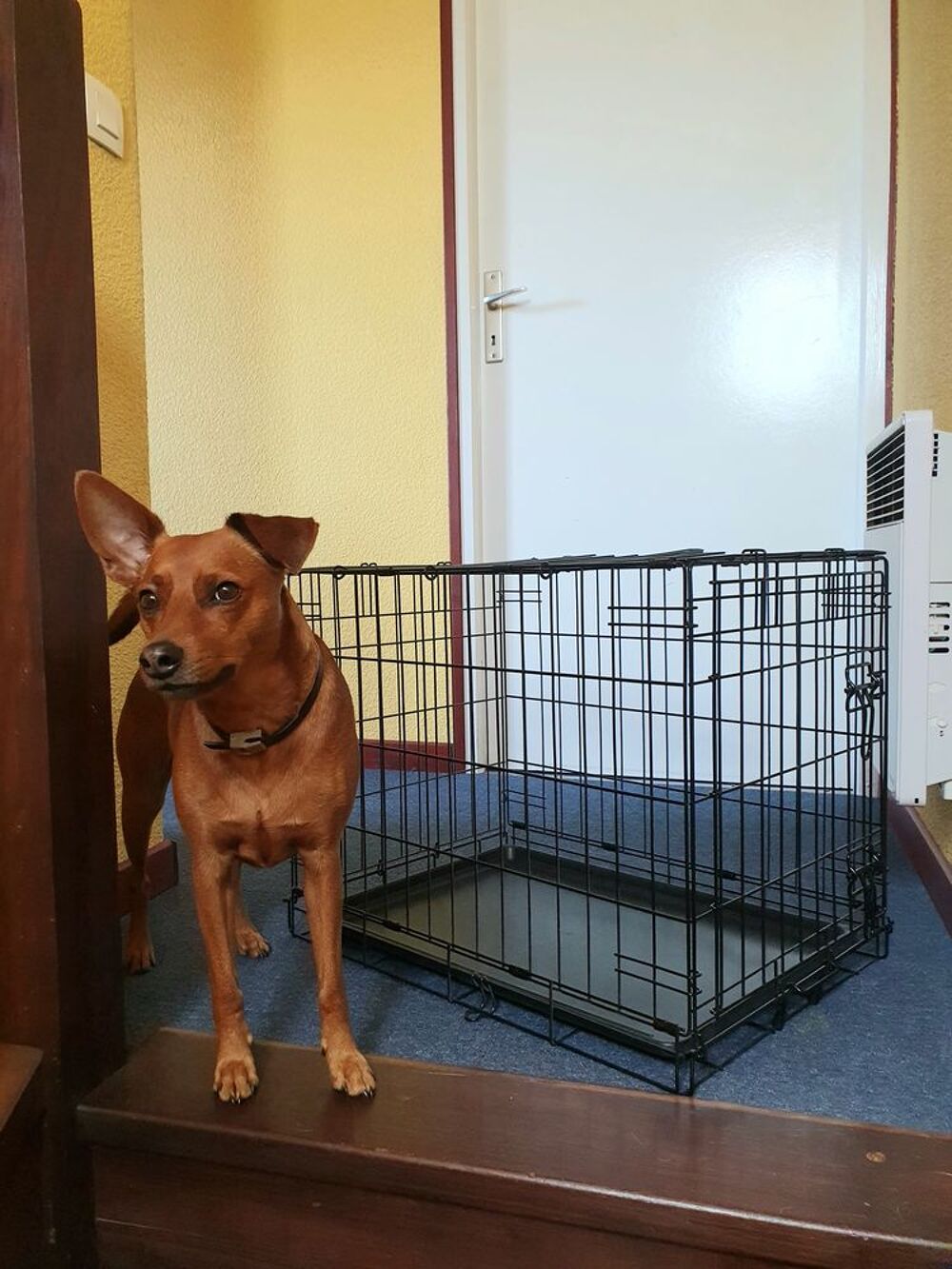 Cage Meubles