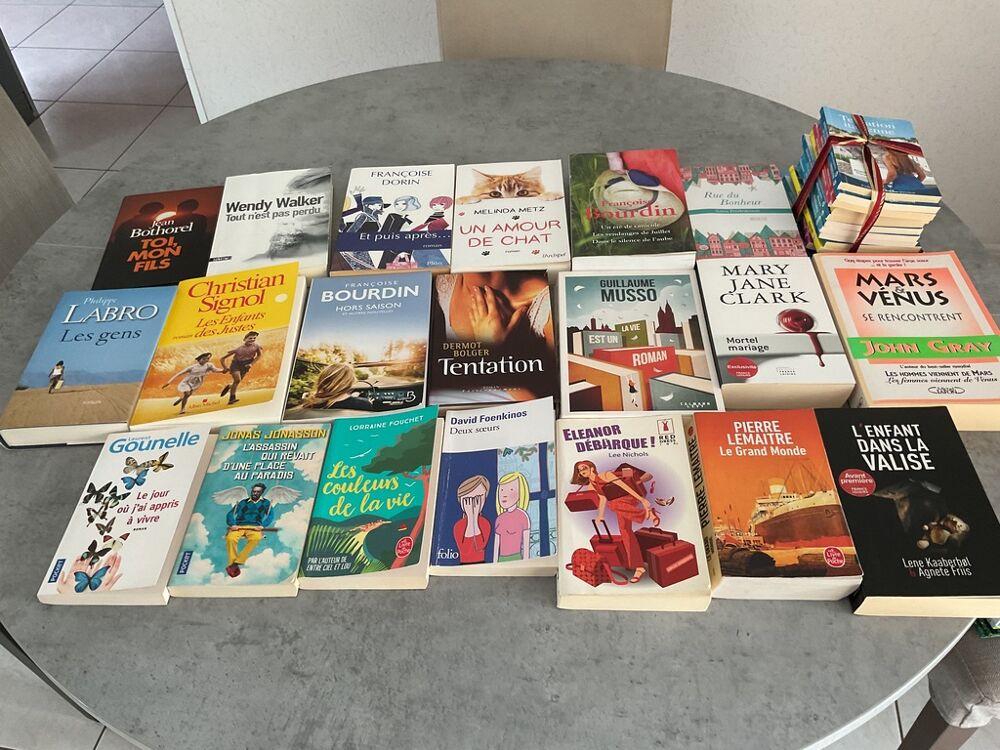 Lot de Livres Vari&eacute;s - Fiction et Non-Fiction Livres et BD