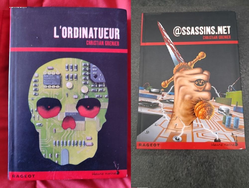 2 livres : L'ordinatueur et assassins.net Livres et BD