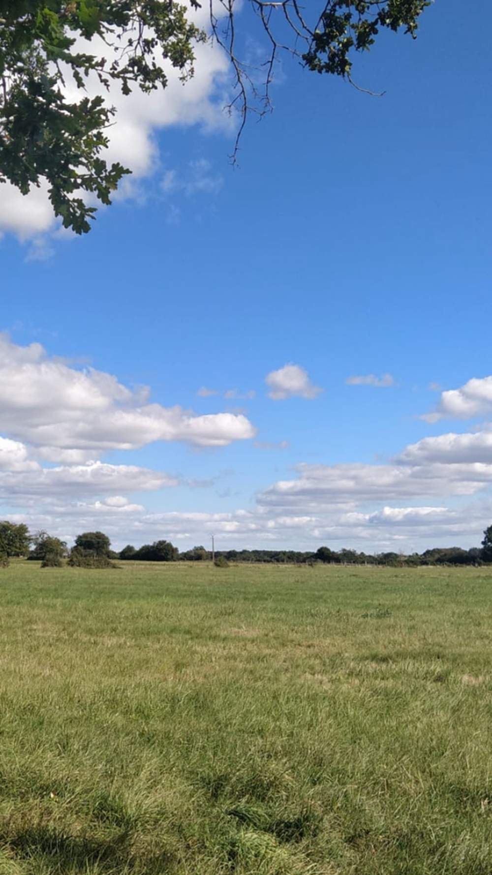Vente Terrain Terrain constructible Avermes