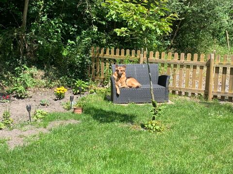  Appartement � louer 2 pi�ces 37 m�