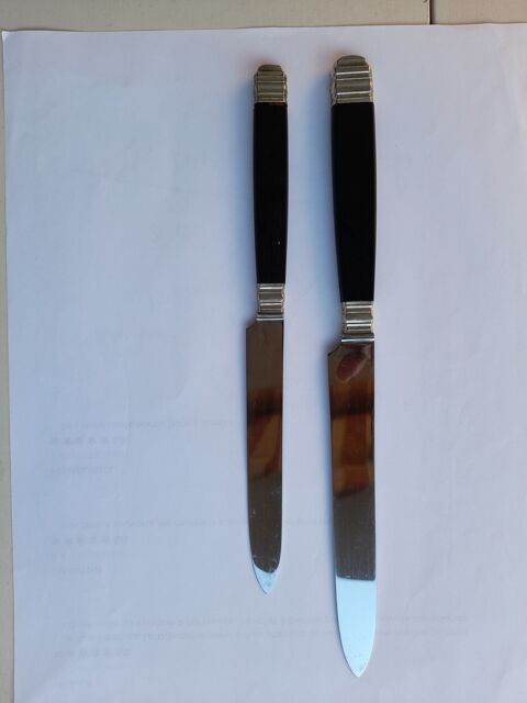 Lot de 6 Couteaux à Steak Cuisine 11,5 cm Inox Manche Plastique couleur  assortie