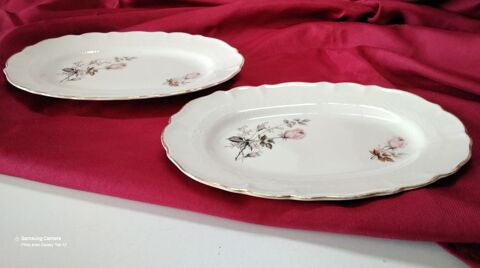 PLAT 
6 Saint-Priest (69)