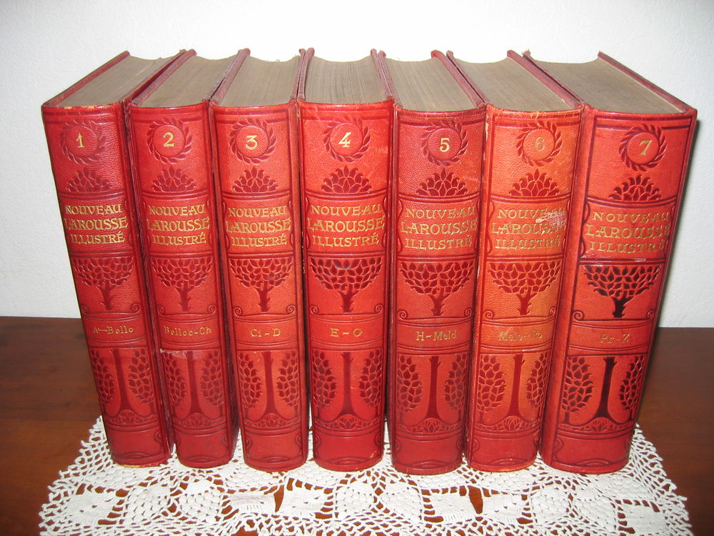 Dictionnaire Larousse encyclop&eacute;dique
Livres et BD