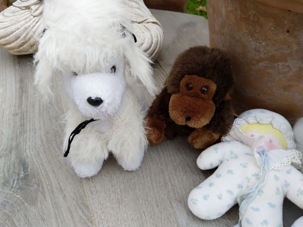 Peluches Jeux / jouets