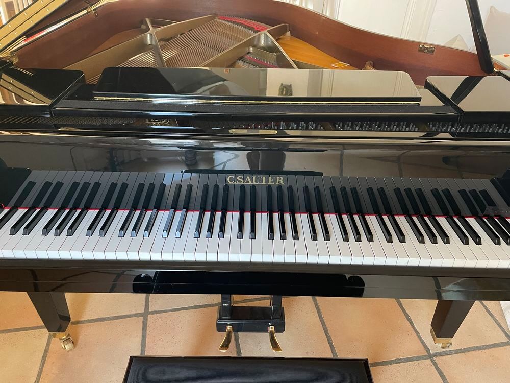 PIANO A QUEUE C.SAUTER Instruments de musique