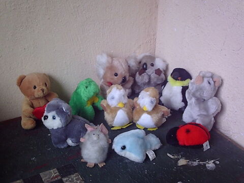 Peluches différents genre et modèles à petits prix 1 Bouxwiller (67)