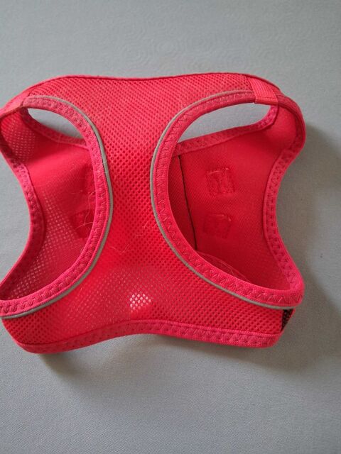 Harnais 20 Toulon (83)