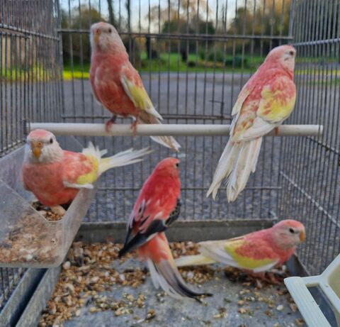 Bourke 30 44350 Gu�rande