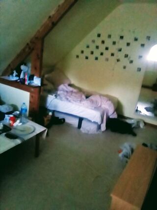  Appartement à louer 3 pièces 28 m² Pacé