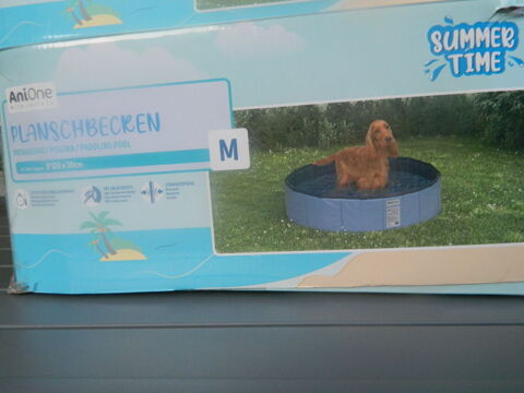 PISCINE POUR CHIEN Artigues-près-Bordeaux (33)