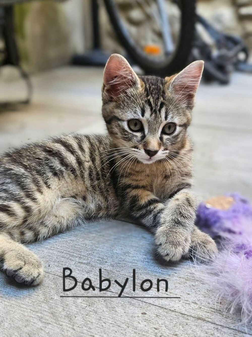   BABYLON 