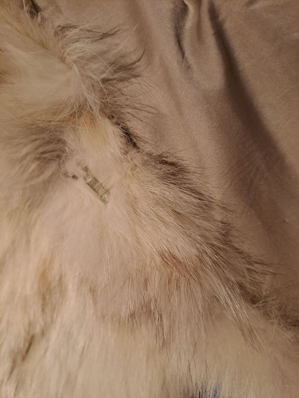 Veste en fourrure Vêtements