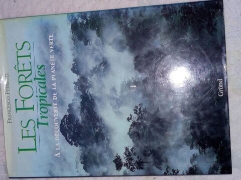 les forets tropicales 15 Pluneret (56)