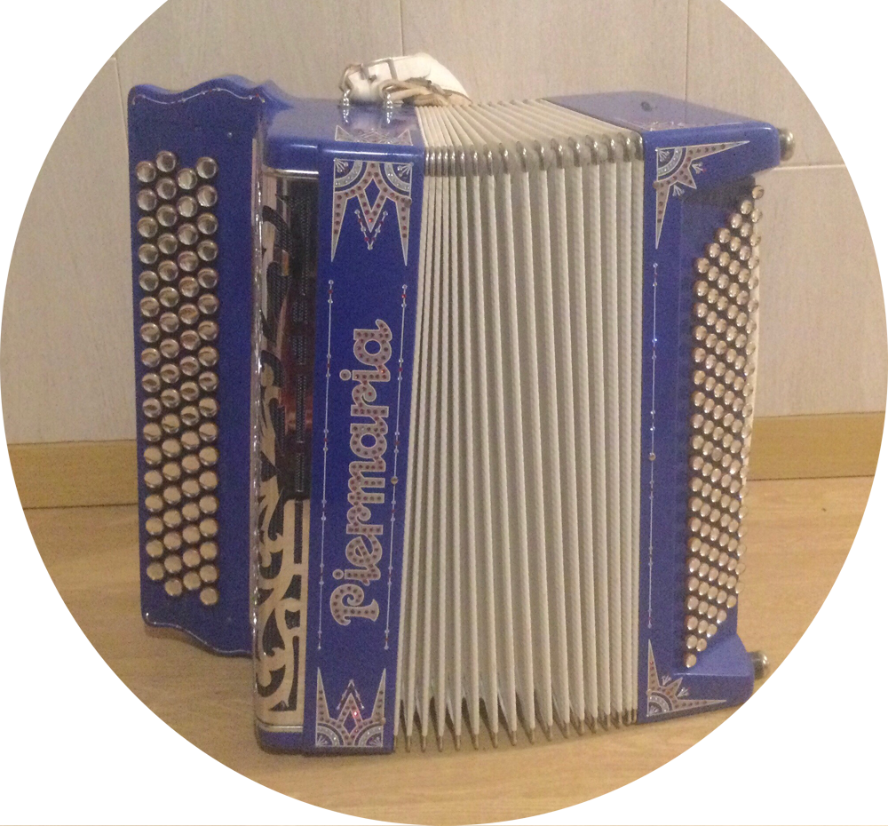 Accord&eacute;on musette Instruments de musique
