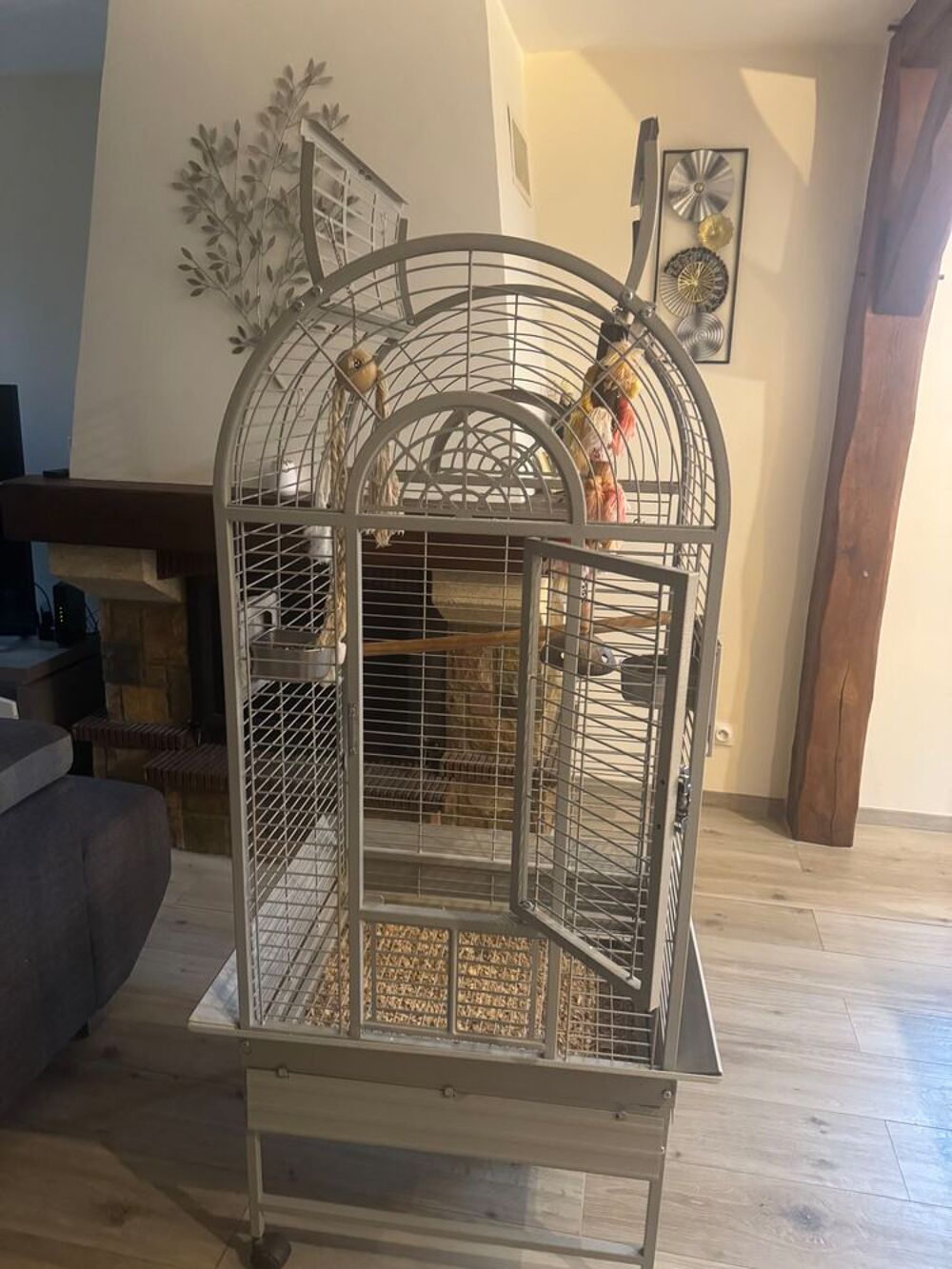   Cage Montana pour Perroquet  