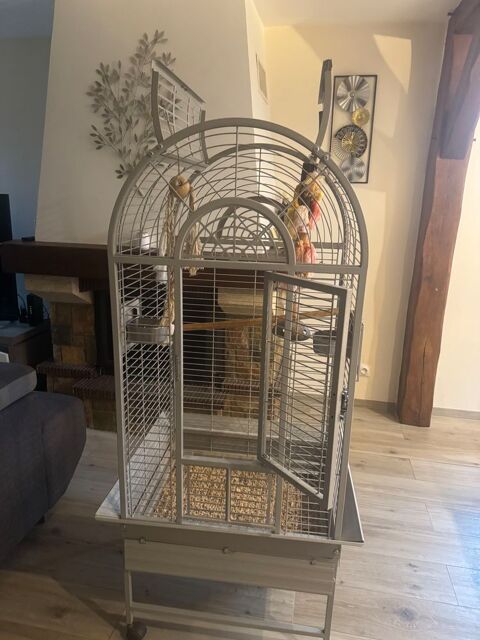 Cage Montana pour Perroquet 400 91520 gly