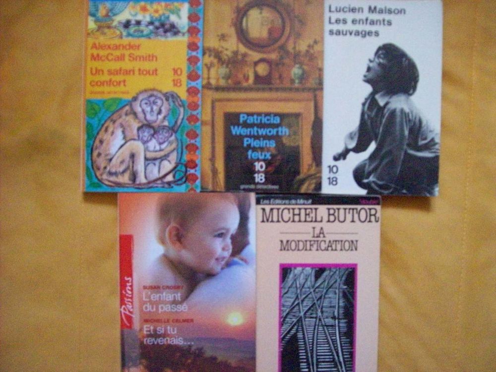 lot 29 - beaux romans ....pour cadeau - zoe Livres et BD