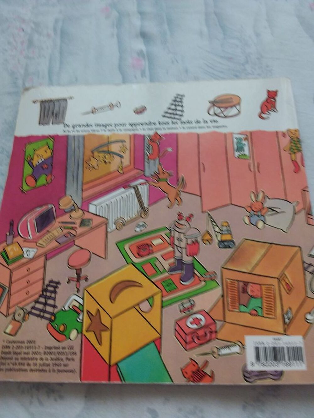 Le chat dans la maison Livres et BD