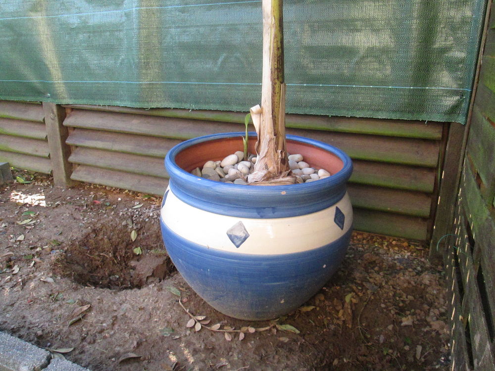 pot de fleurs exterieur Décoration