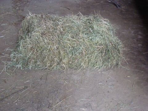 foin prtit ballots 2 Bergues (59)