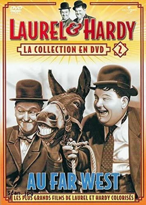 Lot de 4 DVD de films de Laurel & Hardy 10 Ervy-le-Chtel (10)