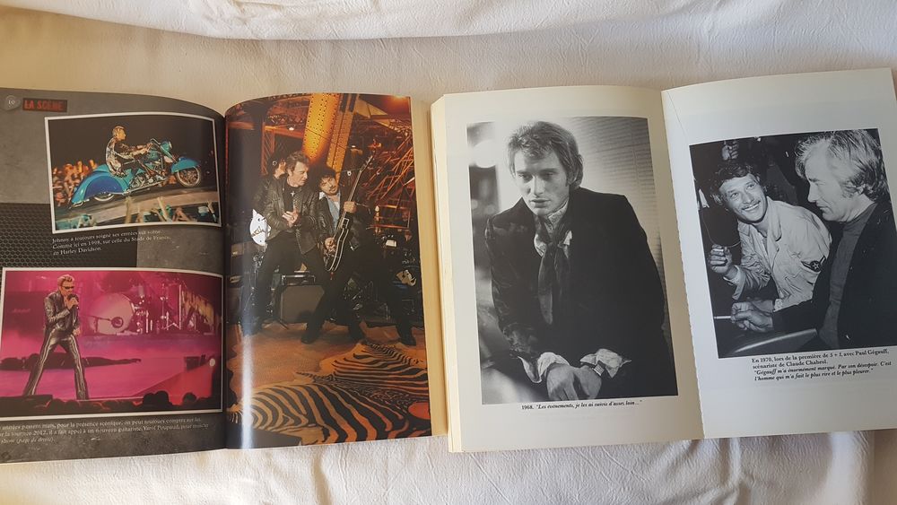 lot de Livres johnny hallyday Livres et BD