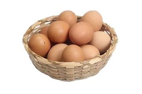 Oeufs EXTRA FRAIS 04700 La brillanne