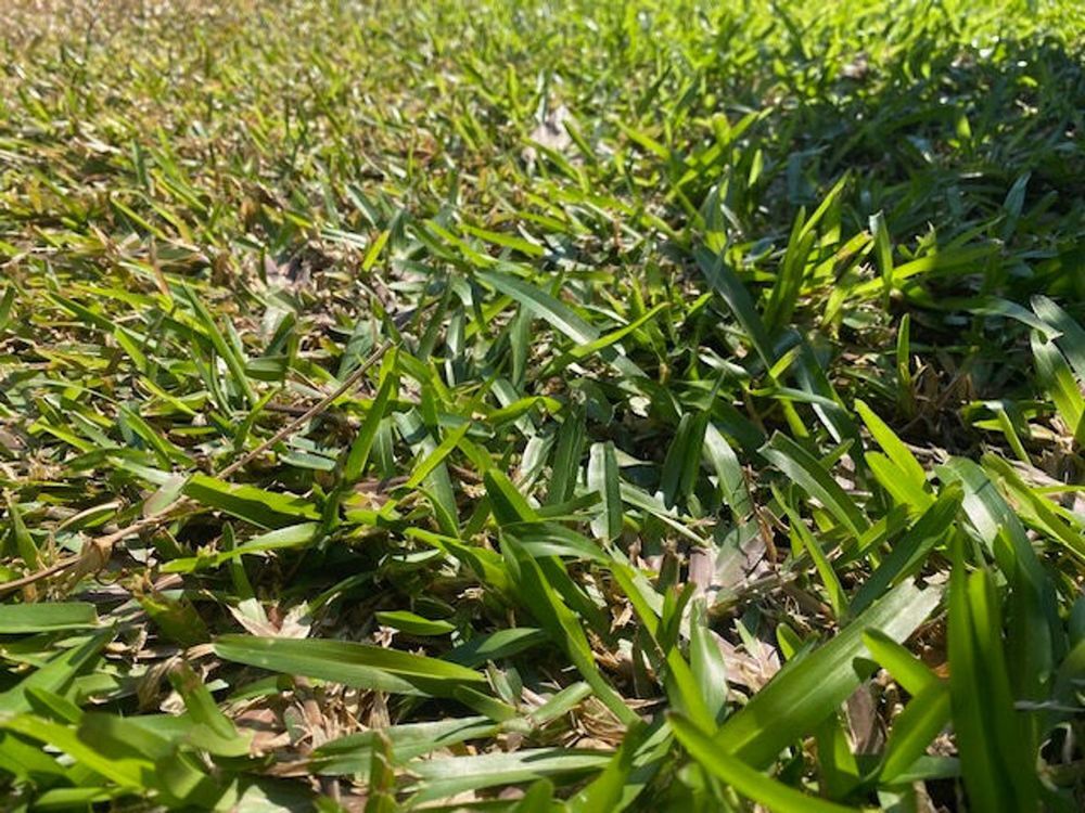 Vente Terrain ORPI La Possession - Terrain 1 647 m² La possession
