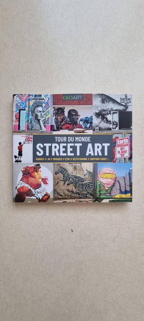 Tour du monde du street art 15 Moissy-Cramayel (77)