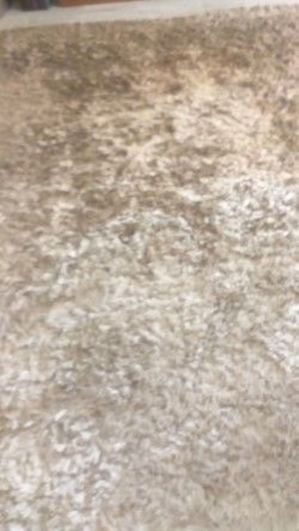 TAPIS """"Roche Bobois """"" Décoration