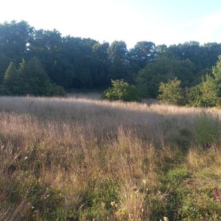  Terrain à vendre 8962 m²