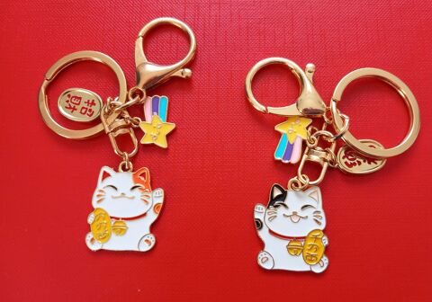 Bijou de sac/porte clef 2.5 Torc� (35)