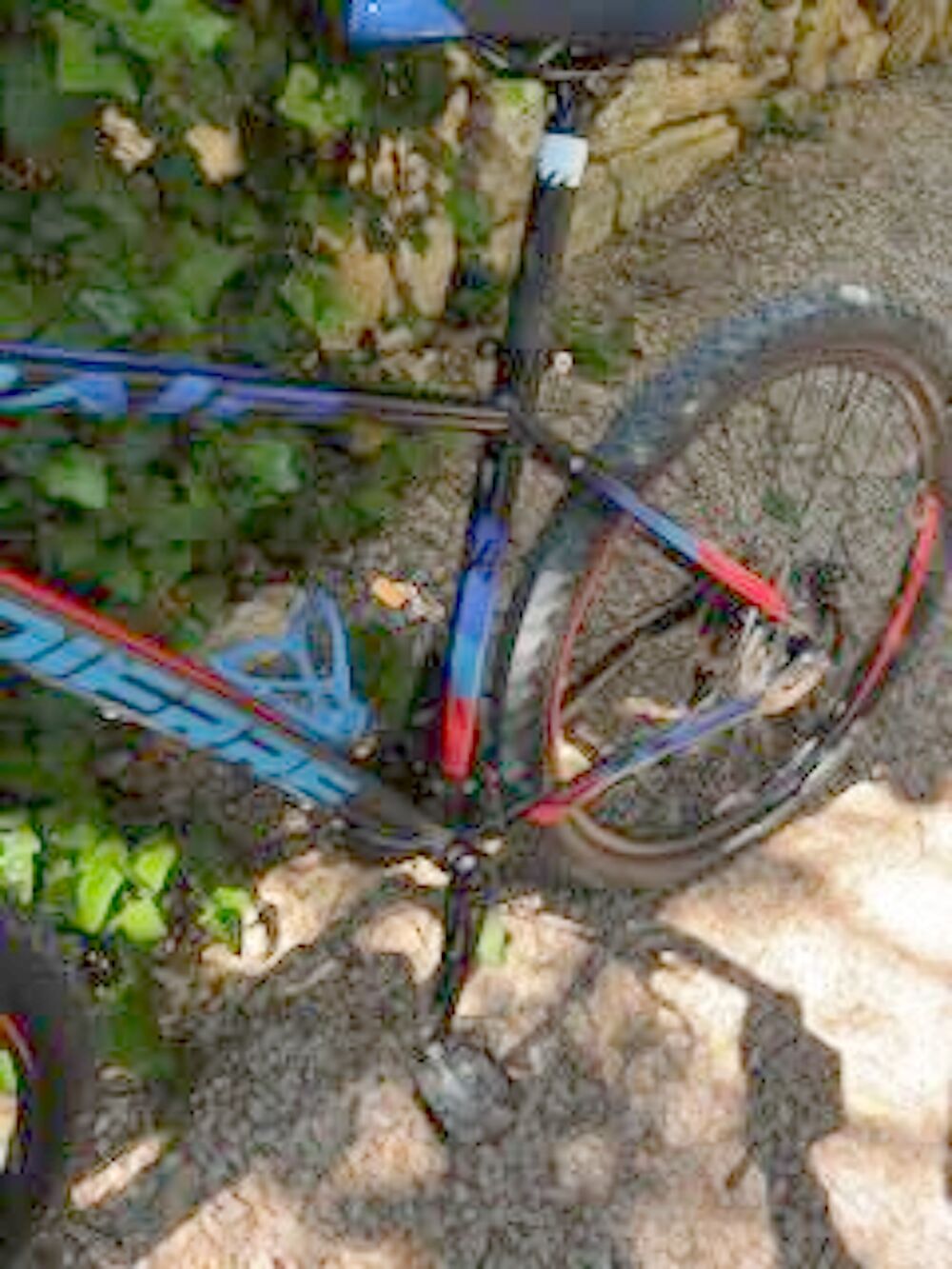 VTT LaPiere Raid - Taille M Vélos