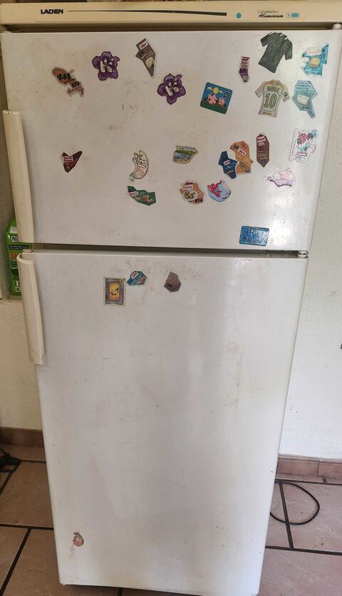 frigo