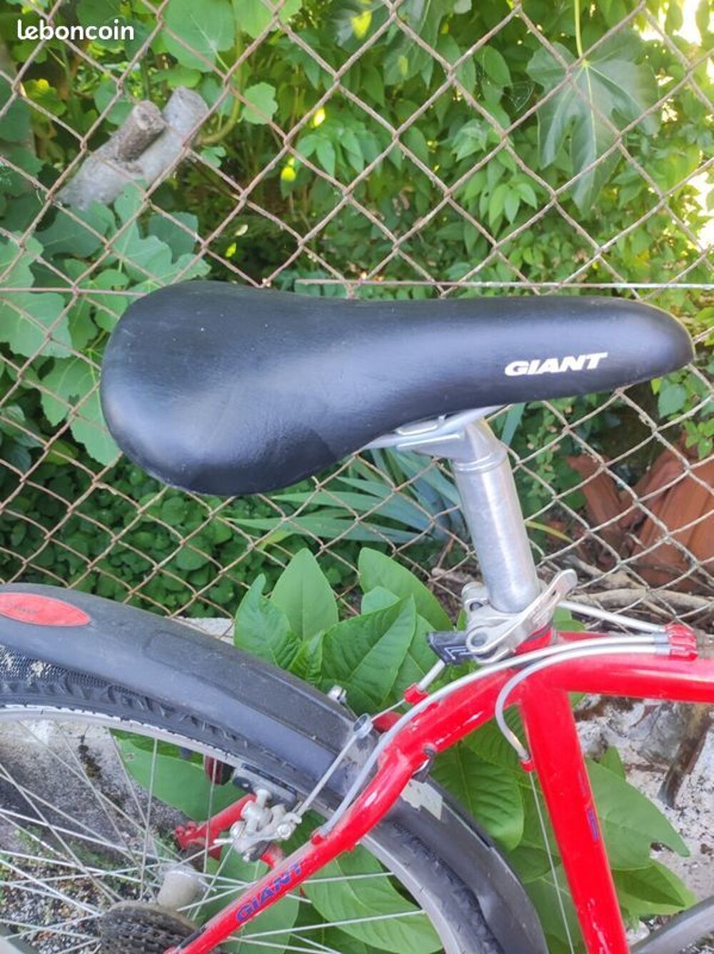 VTT - Giant avec Phare rechargeable Vélos