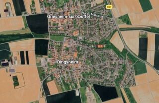  Terrain � vendre 995 m� Dingsheim