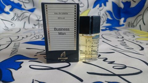 MINIATURE DE PARFUM 5 Trouy (18)