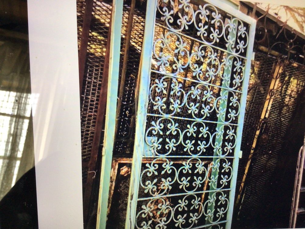 Porte en acier /fer forg&eacute; avec cadre motifs rosa&ccedil;e
Décoration