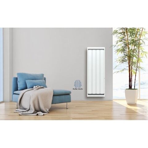 Puissant Radiateur à inertie FONTE vertical 2000W NOIROT 199 La Celle-sur-Morin (77)