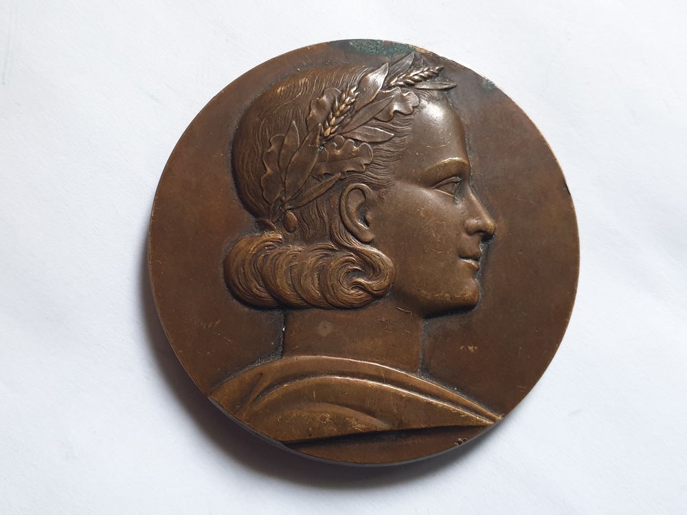 M&eacute;daille bronze L.U.N.E.P 