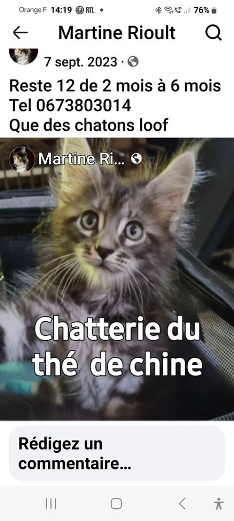 Maine con 1080 78980 Saint-illiers-le-bois
