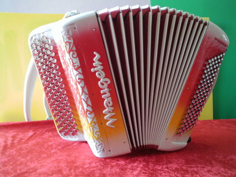 accordéon maugein amusette 96 Cholet (49)
