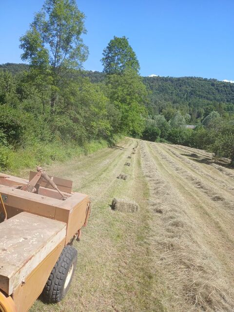 Bottes de foin moyenne densité 2025 2 01590 Dortan