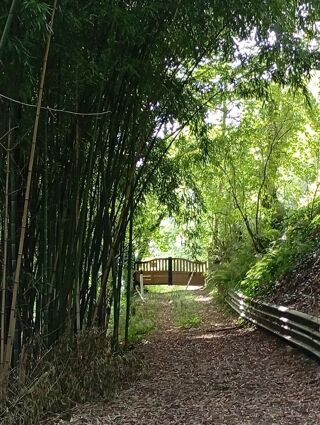  Maison � vendre 3 pi�ces 50 m�